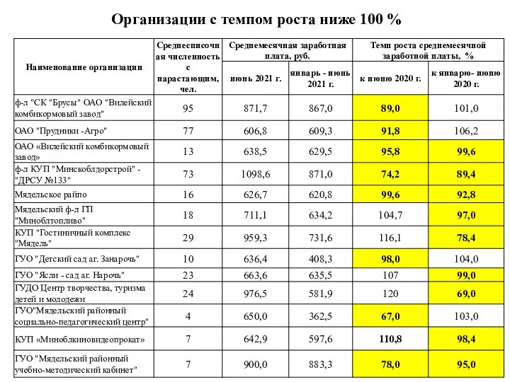 Организации с темпом роста ниже 100 %