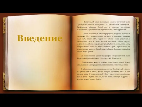 Введение Тюльганский район расположен в северо-восточной части Оренбургской области. Он граничит с