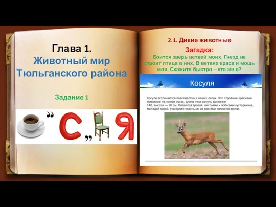 2.1. Дикие животные Глава 1. Животный мир Тюльганского района Задание 1 Загадка: