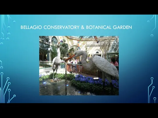 BELLAGIO CONSERVATORY & BOTANICAL GARDEN