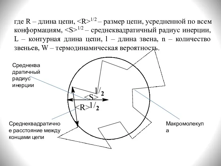 где R – длина цепи, 1/2 – размер цепи, усредненной по всем