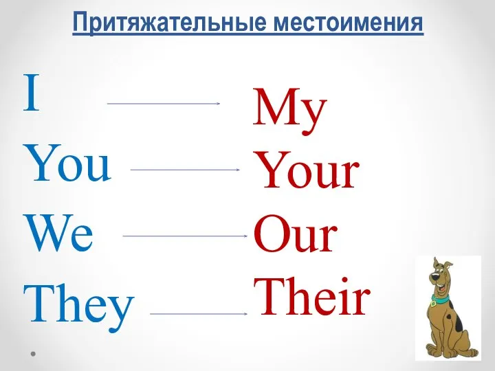 Притяжательные местоимения My Your Our Their I You We They