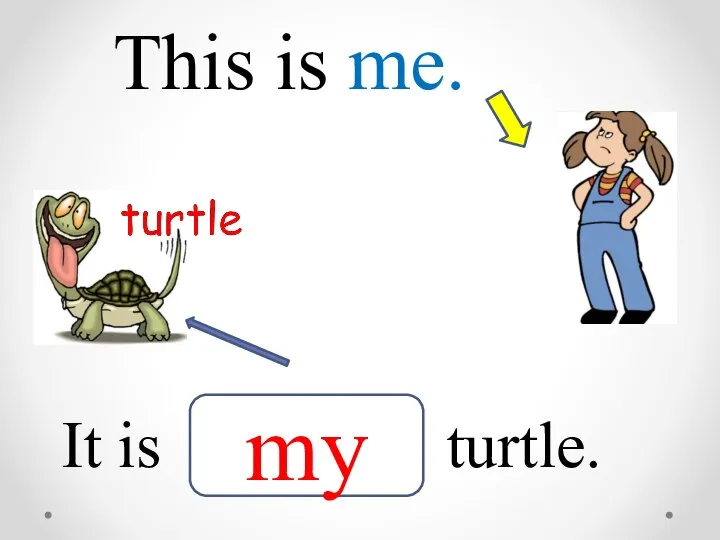 This is me. It is turtle. my