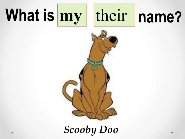 What is my their name? Scooby Doo