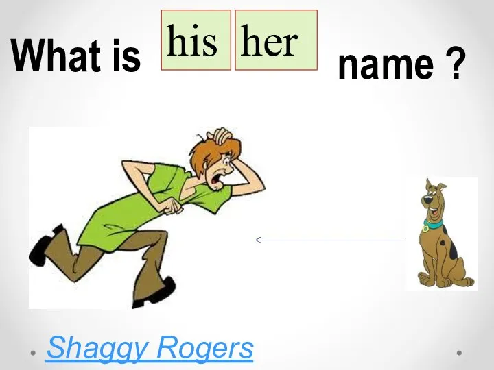 What is his her name ? Shaggy Rogers