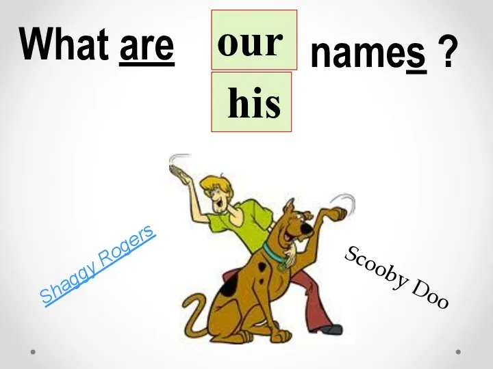 Shaggy Rogers What are our his names ? Scooby Doo