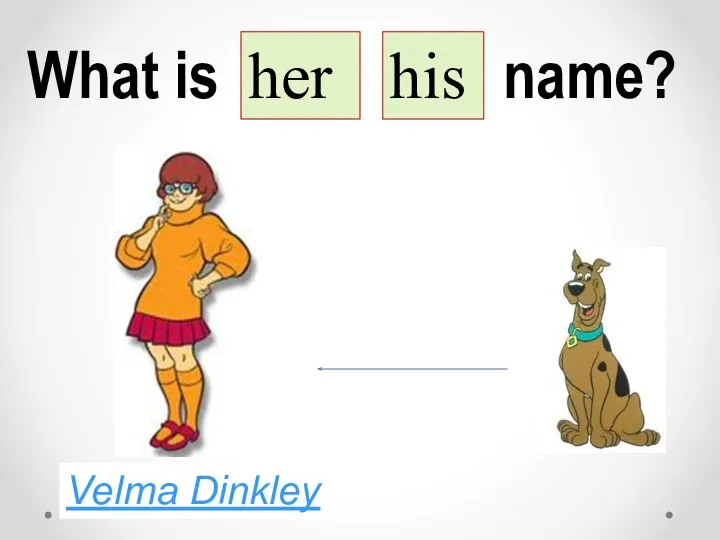 What is her his name? Velma Dinkley