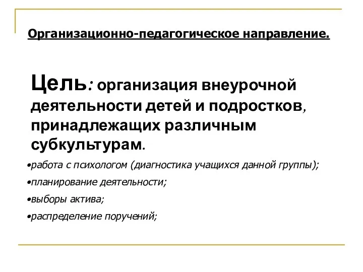 Организационно-педагогическое направление. Цель: организация внеурочной деятельности детей и подростков, принадлежащих различным субкультурам.