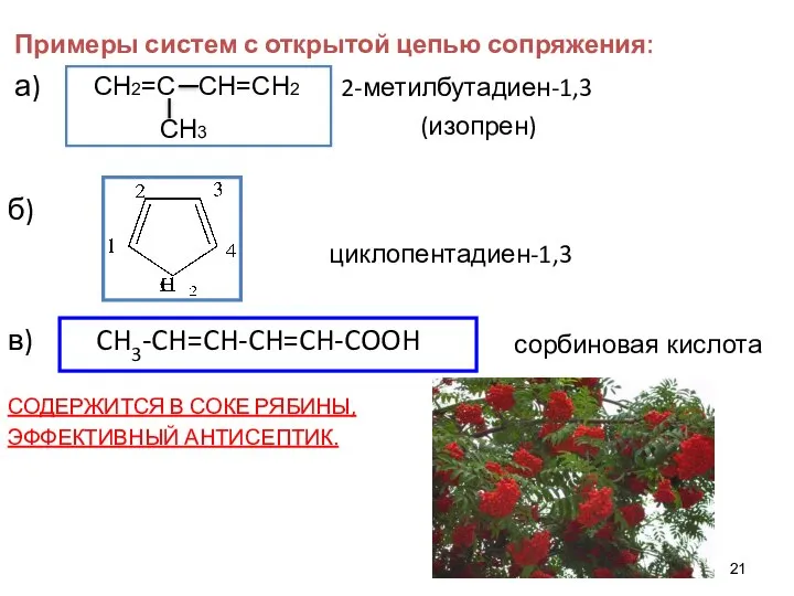 Примеры систем с открытой цепью сопряжения: а) 2-метилбутадиен-1,3 (изопрен) б) циклопентадиен-1,3 в)
