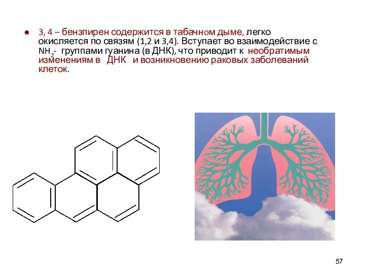 3, 4 – бензпирен содержится в табачнoм дыме, легко окисляется по связям