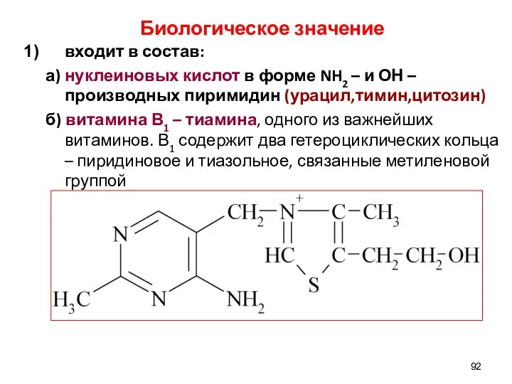 Биологическое значение входит в состав: а) нуклеиновых кислот в форме NH2 –