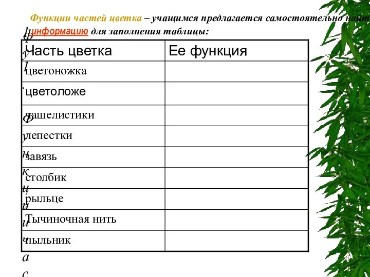 фу 1.1. Функции частей цветка – учащимся предлагается самостоятельно найти информацию для