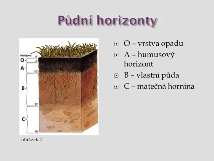 PŮDNÍ HORIZONT