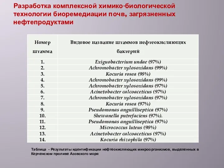 Разработка комплексной химико-биологической технологии биоремедиации почв, загрязненных нефтепродуктами Таблица - Результаты идентификации