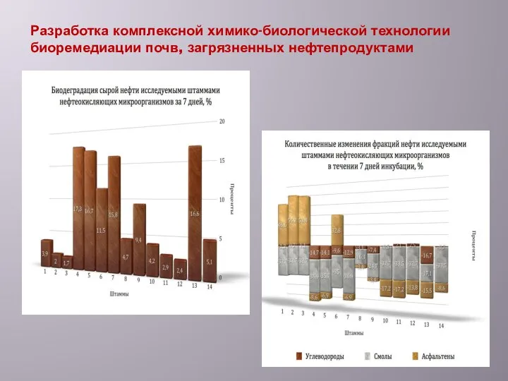 Разработка комплексной химико-биологической технологии биоремедиации почв, загрязненных нефтепродуктами