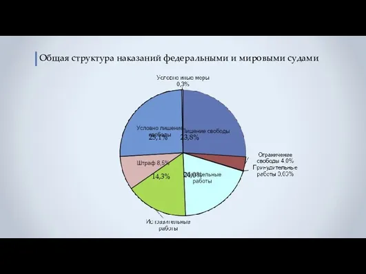 Общая структура наказаний федеральными и мировыми судами 25,1% 23,8% 24,0% 14,3%