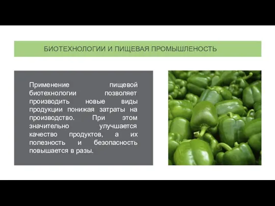 Применение пищевой биотехнологии позволяет производить новые виды продукции понижая затраты на производство.