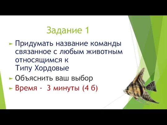 Задание 1 Придумать название команды связанное с любым животным относящимся к Типу