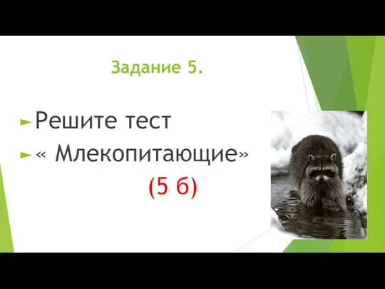 Задание 5. Решите тест « Млекопитающие» (5 б)