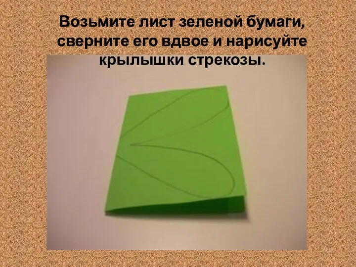 Возьмите лист зеленой бумаги, сверните его вдвое и нарисуйте крылышки стрекозы.