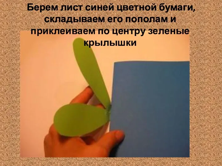 Берем лист синей цветной бумаги, складываем его пополам и приклеиваем по центру зеленые крылышки