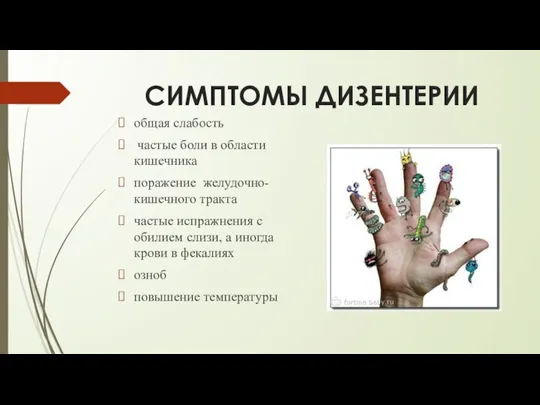 СИМПТОМЫ ДИЗЕНТЕРИИ общая слабость частые боли в области кишечника поражение желудочно-кишечного тракта