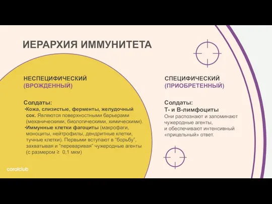 ИЕРАРХИЯ ИММУНИТЕТА Солдаты: Кожа, слизистые, ферменты, желудочный сок. Являются поверхностными барьерами (механическими,