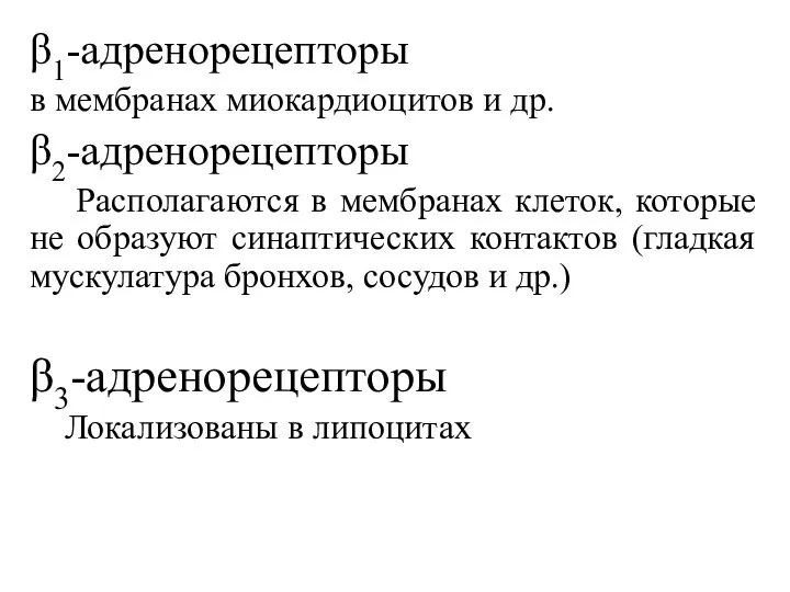 β1-адренорецепторы в мембранах миокардиоцитов и др. β2-адренорецепторы Располагаются в мембранах клеток, которые