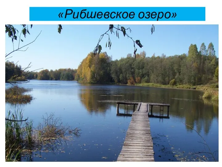 «Рибшевское озеро»