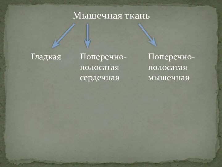 Мышечная ткань Гладкая Поперечно-полосатая сердечная Поперечно-полосатая мышечная