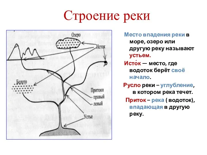 Строение реки Место впадения реки в море, озеро или другую реку называют