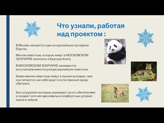 Что узнали, работая над проектом : В Москве находится один из крупнейших