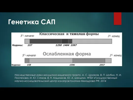 Генетика САП Наследственные раки желудочно-кишечного тракта. А. С. Цуканов, В. П. Шубин,