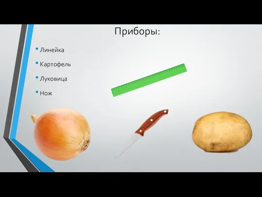 Приборы: Линейка Картофель Луковица Нож