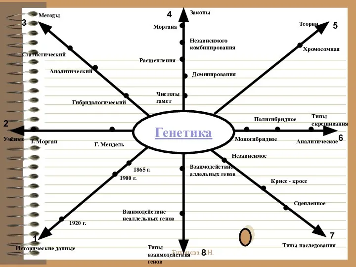 Тихонова Е.Н. Генетика 1 2 3 4 5 6 7 8 Учёные