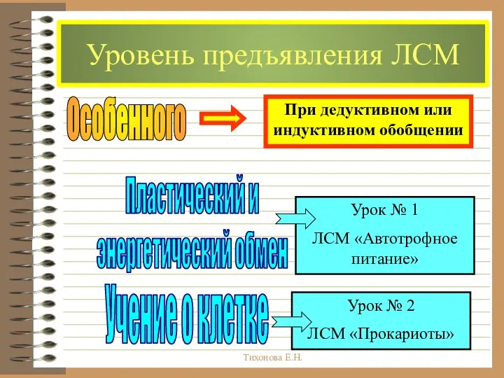 Тихонова Е.Н. Уровень предъявления ЛСМ Особенного