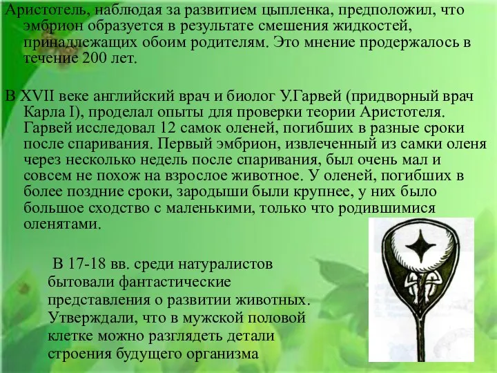 Аристотель, наблюдая за развитием цыпленка, предположил, что эмбрион образуется в результате смешения