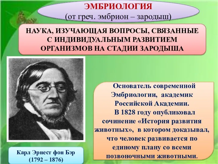 НАУКА, ИЗУЧАЮЩАЯ ВОПРОСЫ, СВЯЗАННЫЕ С ИНДИВИДУАЛЬНЫМ РАЗВИТИЕМ ОРГАНИЗМОВ НА СТАДИИ ЗАРОДЫША ЭМБРИОЛОГИЯ