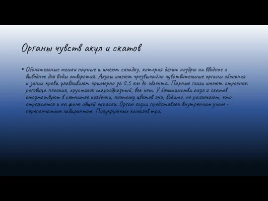 Органы чувств акул и скатов Обонятельные мешки парные и имеют складку, которая