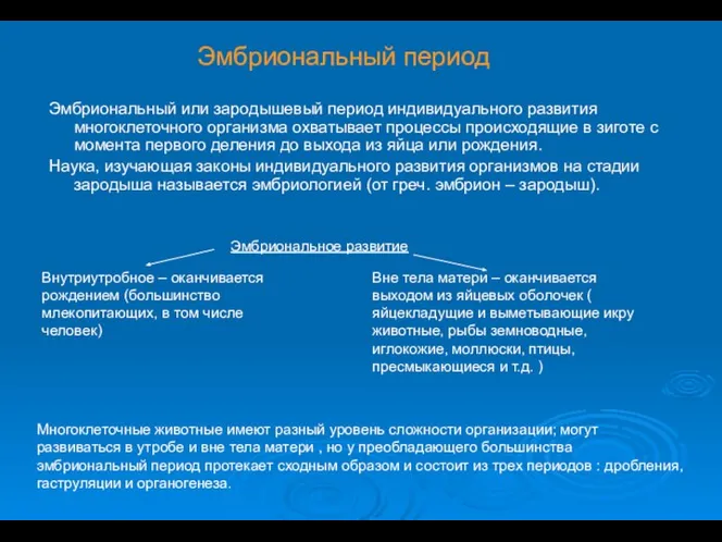 Эмбриональный или зародышевый период индивидуального развития многоклеточного организма охватывает процессы происходящие в