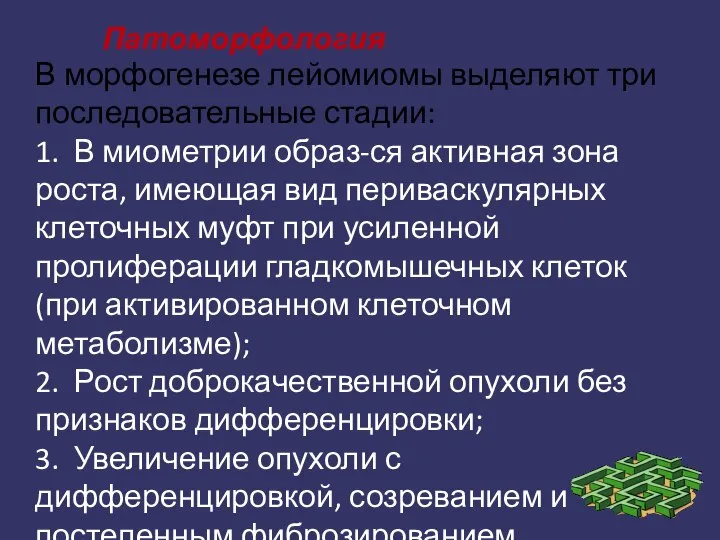 Патоморфология В морфогенезе лейомиомы выделяют три последовательные стадии: 1. В миометрии образ-ся