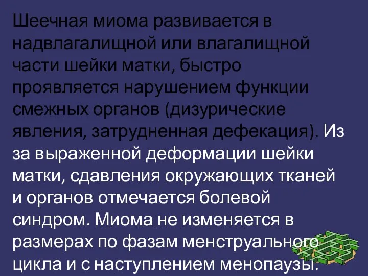 Шеечная миома развивается в надвлагалищной или влагалищной части шейки матки, быстро проявляется