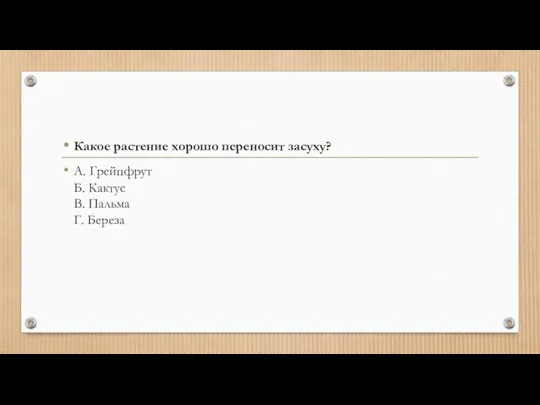 Какое растение хорошо переносит засуху? А. Грейпфрут Б. Кактус В. Пальма Г. Береза