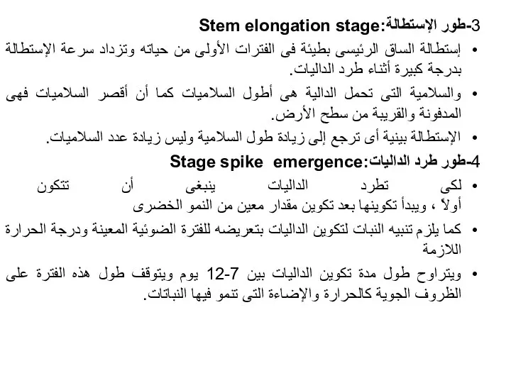 3-طور الإستطالة:Stem elongation stage إستطالة الساق الرئيسى بطيئة فى الفترات الأولى من