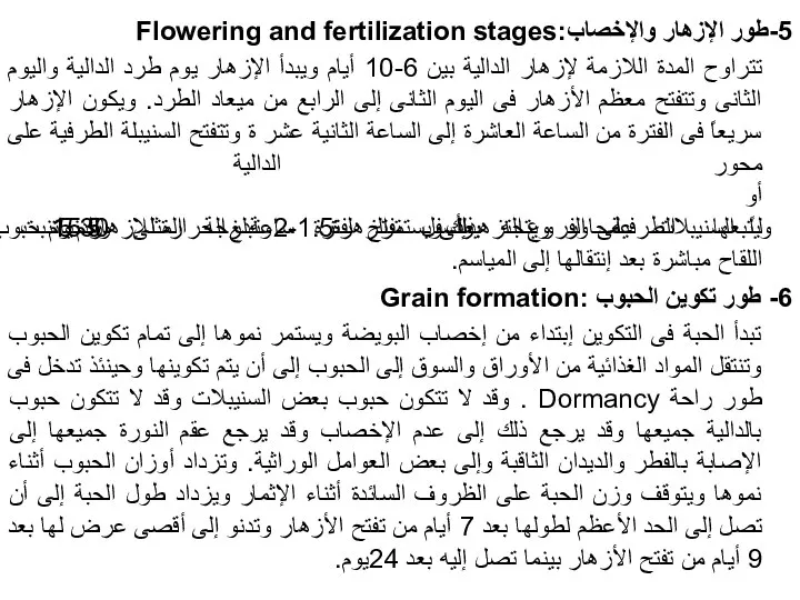 5-طور الإزهار والإخصاب:Flowering and fertilization stages تتراوح المدة اللازمة لإزهار الدالية بين