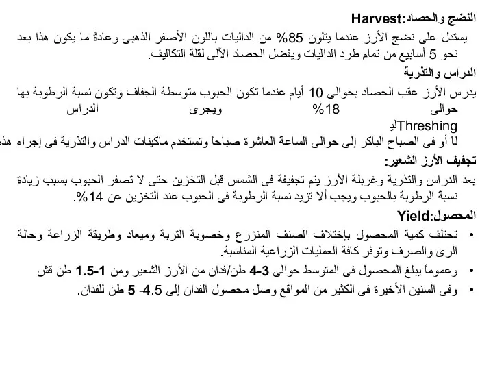 النضج والحصاد:Harvest يستدل على نضج الأرز عندما يتلون 85% من الداليات باللون