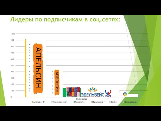 Лидеры по подписчикам в соц.сетях: