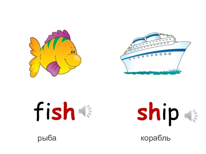 fish ship