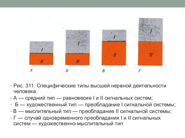 Рис. 311. Специфические типы высшей нервной деятельности человека. А — средний тип