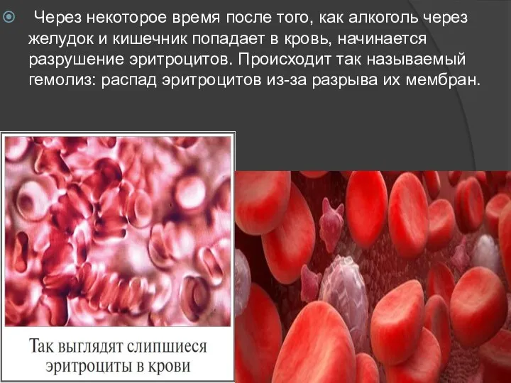 Через некоторое время после того, как алкоголь через желудок и кишечник попадает